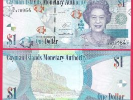 Gayman  Island 1 Dollar 2010 Godina UNC